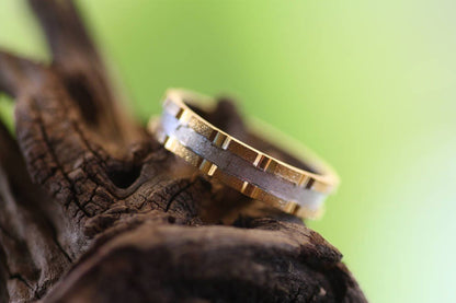 Two tone Wedding band