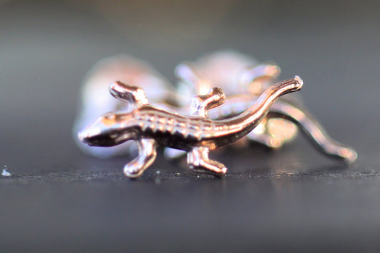 Minimalist Studs Lizards Earrings, Kids Tiny Animal Earrings